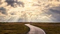 Lonely person walks along a path into the sun rays