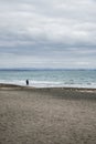 A person walking alone on an empty beach. Winter autumn season, cold weather. Cloudy weather. Birds on the sand. Royalty Free Stock Photo