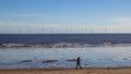 Person walking along the beach at waters edge. Royalty Free Stock Photo