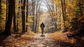 Autumn Forest Trail: A Humanistic Empathy In 8k Resolution Royalty Free Stock Photo