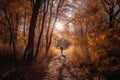 person, walking through autumn forest, with the sun shining through the trees