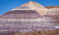 Person walking between cliffs of Blue Mesa of Petrified Forest National Park, Arizona, USA Royalty Free Stock Photo