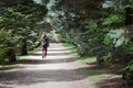 Person Walking Through Arboretum on Path