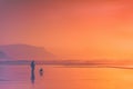 Person walking the dog on beach Royalty Free Stock Photo