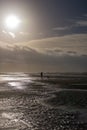 Person walking dog at stormy day at beach Royalty Free Stock Photo