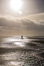 Person walking dog at stormy day at beach Royalty Free Stock Photo