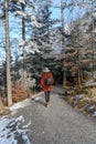 Person walking down a snow covered path in the woods Royalty Free Stock Photo