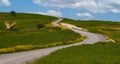 Person walking on empty country road. Green meadow, Cloudy sky Royalty Free Stock Photo