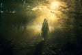 a person walking through a forest at night with the sun shining through the trees Royalty Free Stock Photo