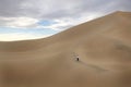 Person Walking on Large Sand Dune