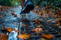 Person Walking in Rain With Feet in Water