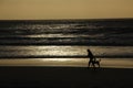 A person walks their dog along the Clifton beaches near Cape Town in South Africa Royalty Free Stock Photo