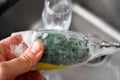 Person washing the glass by hands with a green yellow sponge full of foam in the grey sink at the kitchen and a glass cup just Royalty Free Stock Photo