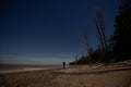 Person watching the stars in the night sky with full moon casting shadows on the beach