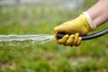 Person watering, garden hose, water and yellow gloved hand Royalty Free Stock Photo