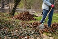 Person working in the garden, raking leaves Royalty Free Stock Photo