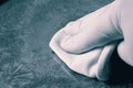 Person wearing gloves polishing cleaning an antique silver tray platter.