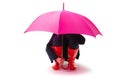 Person wearing red rubber shoes and rain umbrella isolated on white background Royalty Free Stock Photo