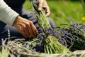 person weaving lavender stems into a fragrant flower wreath Royalty Free Stock Photo