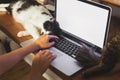 Person working on laptop with empty screen and cute cats sleeping at keyboard. Home office concept, remote work with your pets.