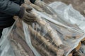 person wrapping a bundle of wood in plastic sheeting Royalty Free Stock Photo