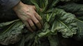 A person's hand is touching a large bunch of green leaves, AI