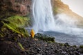 Person in a yellow raincoat watching Seljalandsfoss waterfall Royalty Free Stock Photo