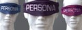 Persona can blind our views and limit perspective - pictured as word Persona on eyes to symbolize that Persona can distort