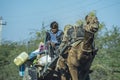Persona riding camel cart