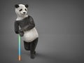 Personage character animal bear panda leans on cane