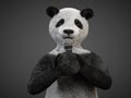 Personage character animal bear panda sing song microphone Royalty Free Stock Photo