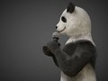 Personage character animal bear panda sing song microphone Royalty Free Stock Photo