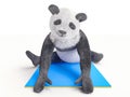 Personage character animal bear panda yoga stretching exercises different postures and asanas Royalty Free Stock Photo