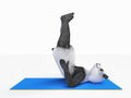 Personage character animal bear panda yoga stretching exercises different postures and asanas Royalty Free Stock Photo