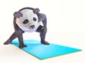 Personage character animal bear panda yoga stretching exercises different postures and asanas