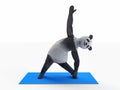 Personage character animal bear panda yoga stretching exercises different postures and asanas Royalty Free Stock Photo