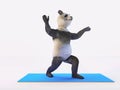 Personage character animal bear panda yoga stretching exercises different postures and asanas Royalty Free Stock Photo