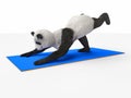 Personage character animal bear panda yoga stretching exercises different postures Royalty Free Stock Photo