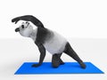 Personage character animal bear panda yoga stretching exercises different postures