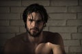 Personal care. man with wet hair, muscular body in bath, shower Royalty Free Stock Photo