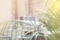 A personal computer among the greenery on the table in the office. Blurred background.