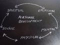 personal development classification on board with multiple personality