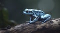 Personal Encounter with a Blue Beach Frog on a Branch. Perfect for Nature-Themed Invitations.