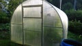 Personal greenhouse for cucumbers in the country. Royalty Free Stock Photo