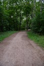 Personal perspective of walking on a path in the forest Royalty Free Stock Photo