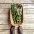 Personal POV looking down at basket of fresh garden herbs on rustic deck with feet in gum boots Royalty Free Stock Photo