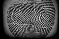 Personality Fingerprint Swirl Impression Thumb Index Ring Finger Last Identification Arch Ridge Loop Whorl Biometric Human Hand