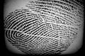 Personality Fingerprint Swirl Impression Thumb Index Ring Finger Last Identification Arch Ridge Loop Whorl Biometric Human Hand