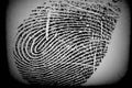 Personality Fingerprint Swirl Impression Thumb Index Ring Finger Last Identification Arch Ridge Loop Whorl Biometric Human Hand