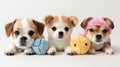 Personalize your pets favorite toy with these blank plush designs perfect for showcasing your brands creativity